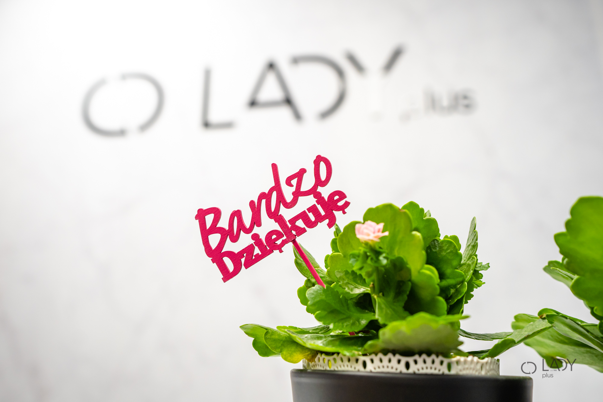 Буцік магазін жаночага адзення вялікіх памераў адзенне для цяжарных Польшча